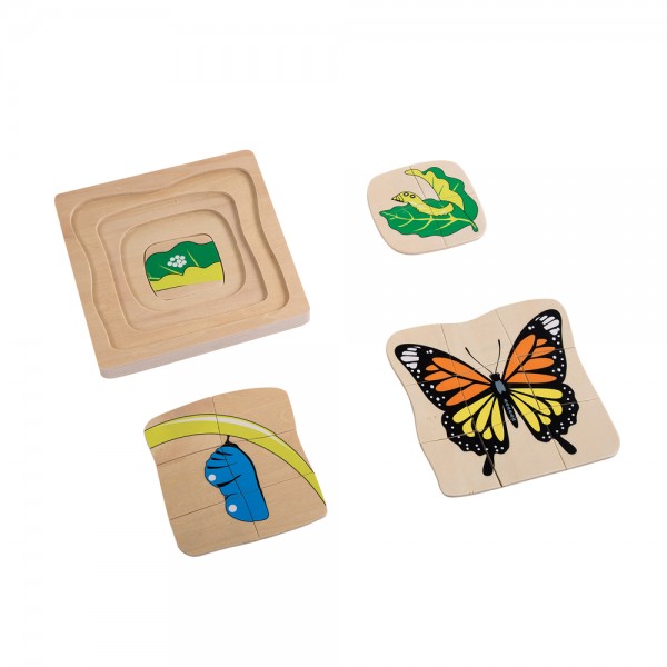 Development of Butterfly (LJBO051) by Leader Joy Montessori USA