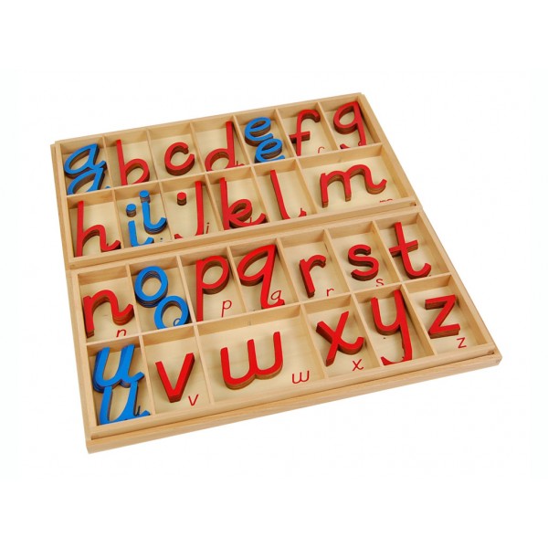 Large D Nealian Moveable Alphabet (LJLA029) by Leader Joy Montessori USA