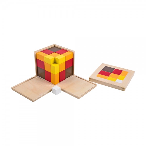 Arithmetic Trinomial Cube (LJMA040-2) by Leader Joy Montessori USA